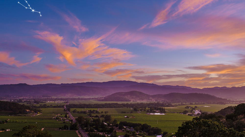 Napa Valley Dining Lodging and Wine Trip Guide