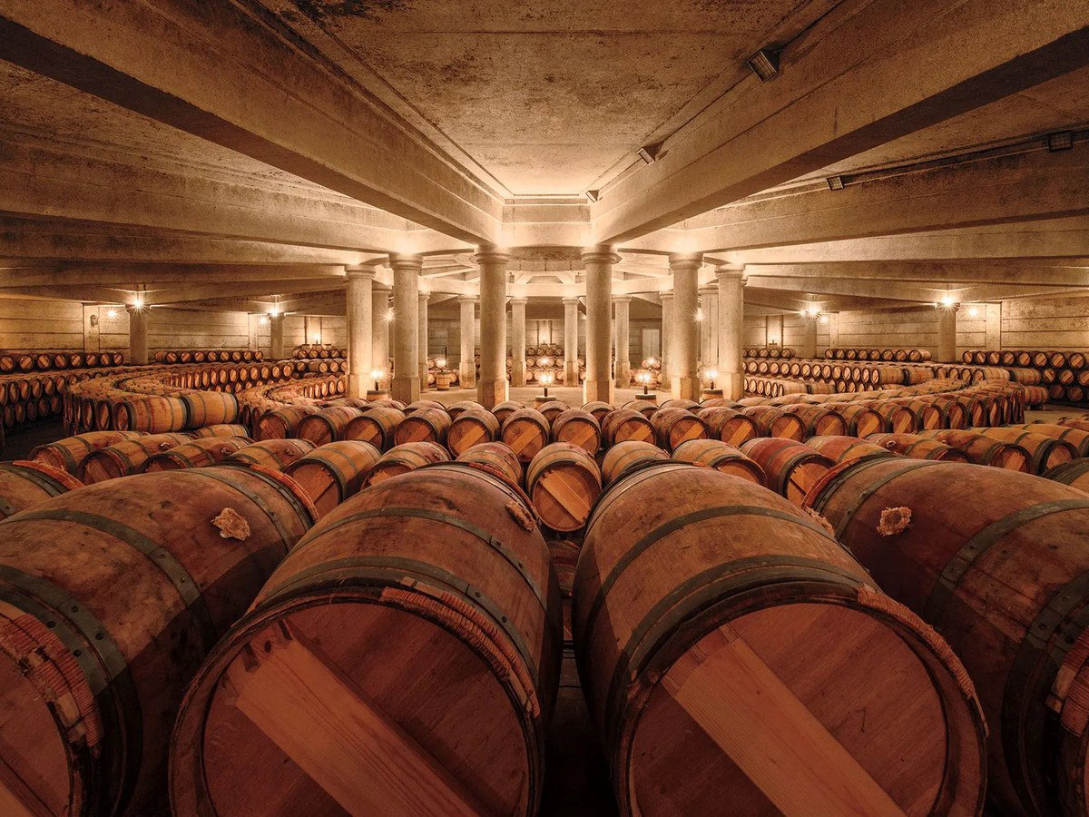 Château Lafite Rothschild's dimly lit chai showcases hundreds of oak barriques in rows, a testament to its winemaking.