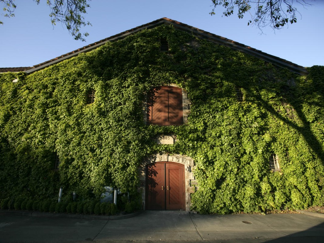 Ivy-covered stone building with arched wooden doors and a small window, featuring the number "885" above the entrance.