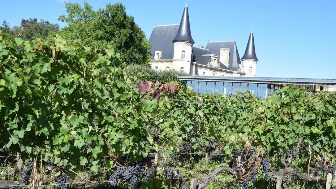 Can You Actually Visit Pichon Baron and Pichon Comtesse in 2026?