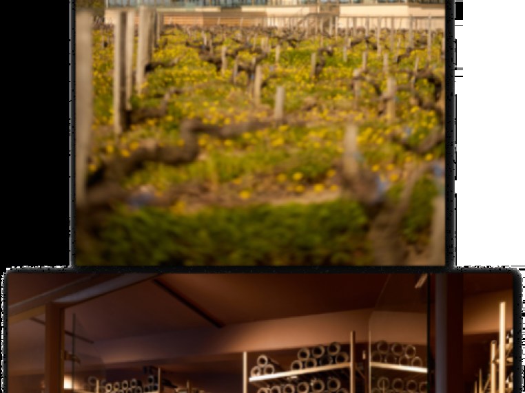 Château Pichon Baron showcases its historic estate, modern visitor center, and extensive wine cellar.
