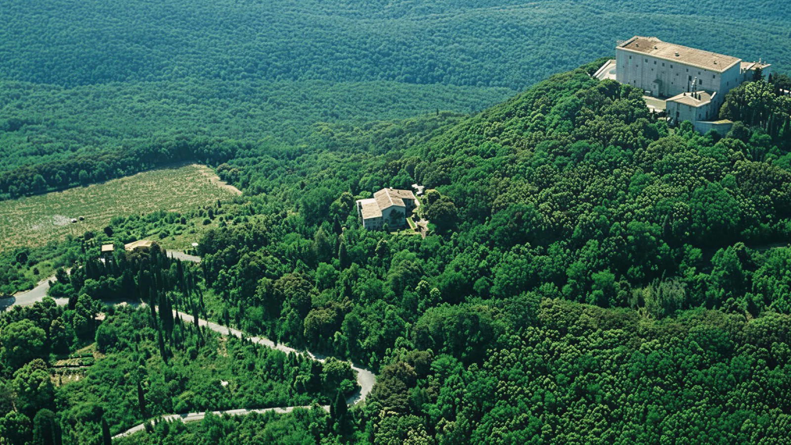 Can You Actually Visit Tenuta San Guido in 2026?