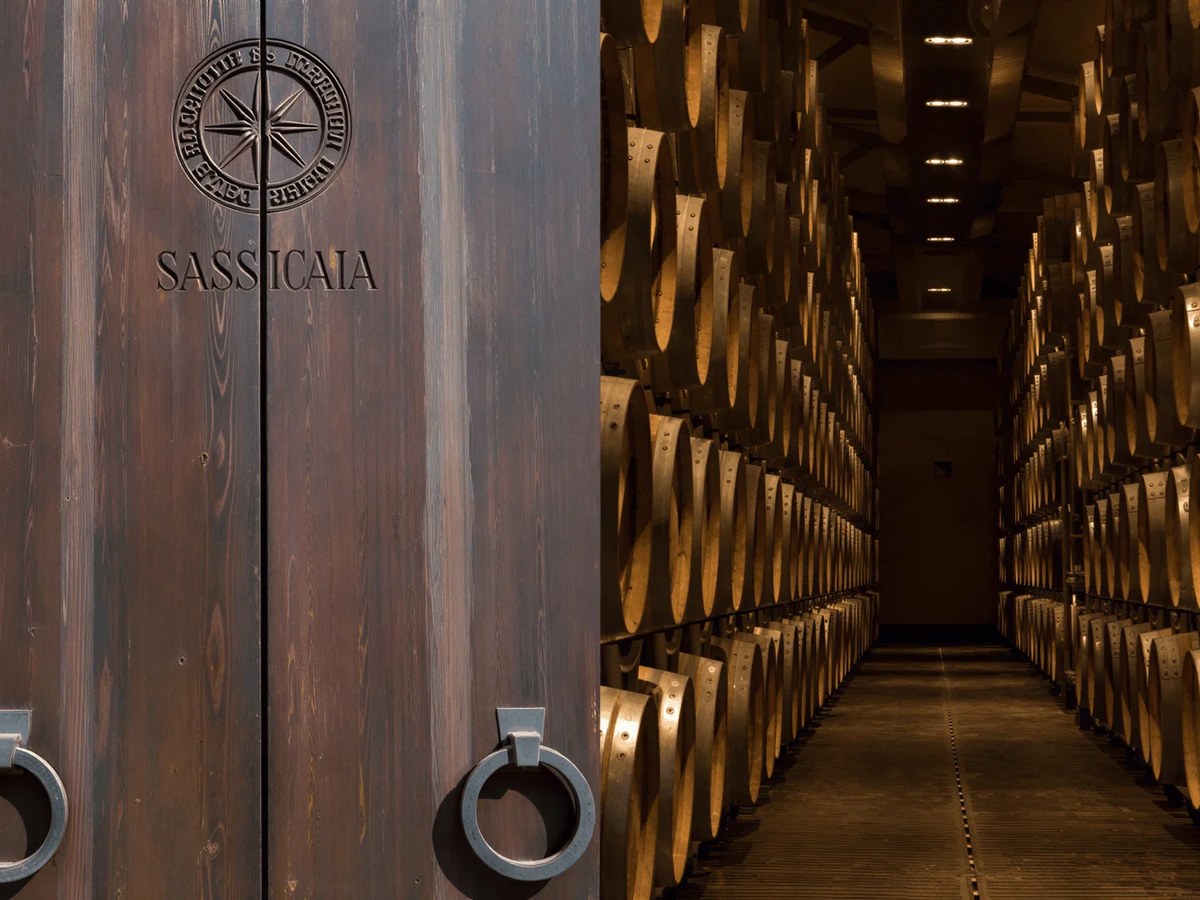 Tenuta San Guido's iconic doors open to a dramatic barrel cellar where Sassicaia ages in French oak barriques.