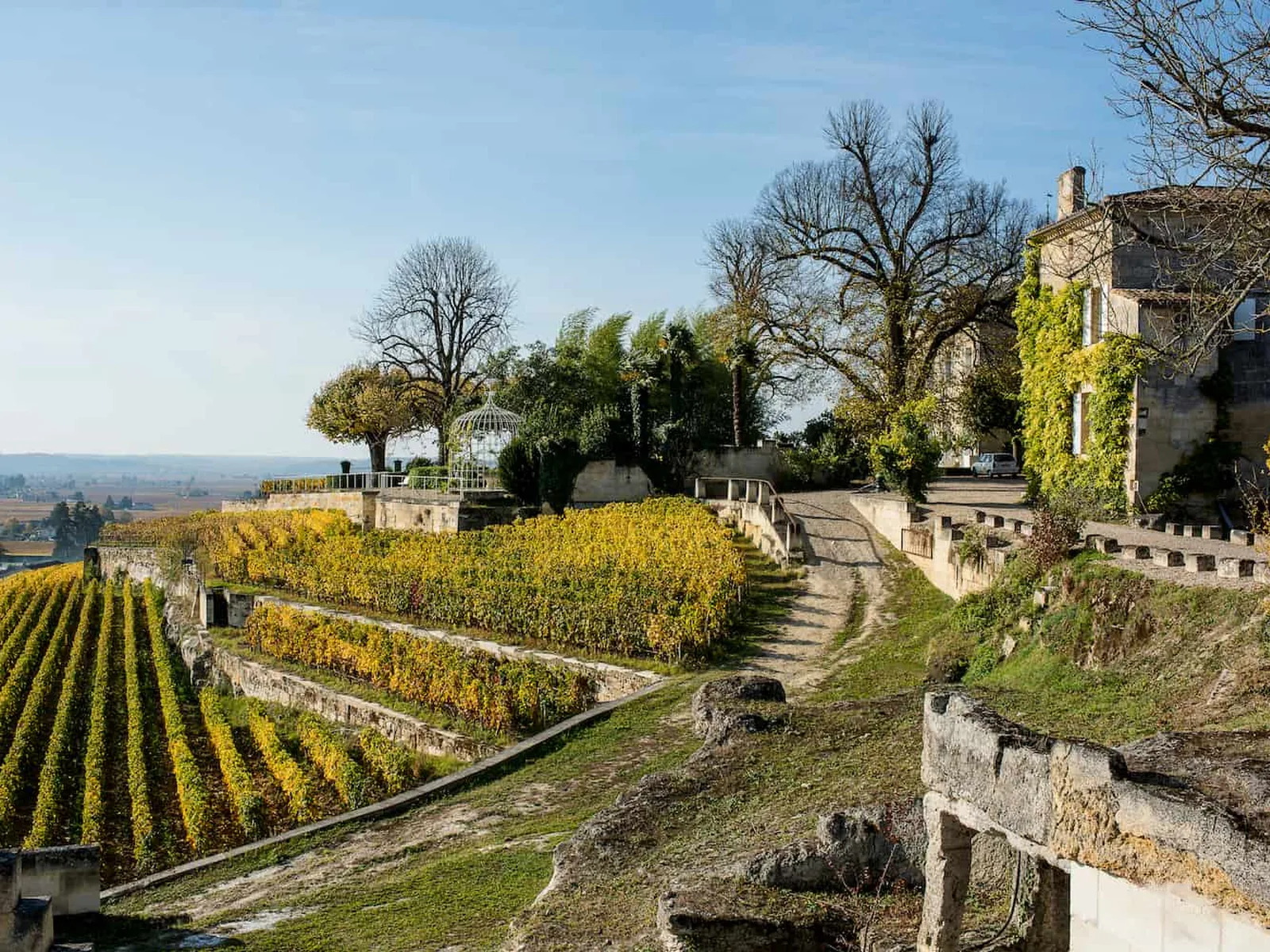 Vineyards in Bordeaux