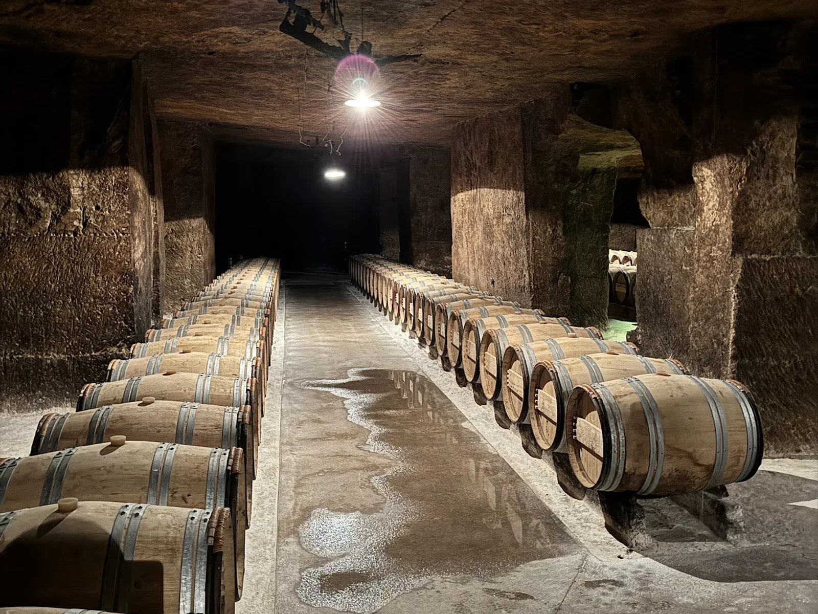 Barrels in a limestone cellar at Château Ausone