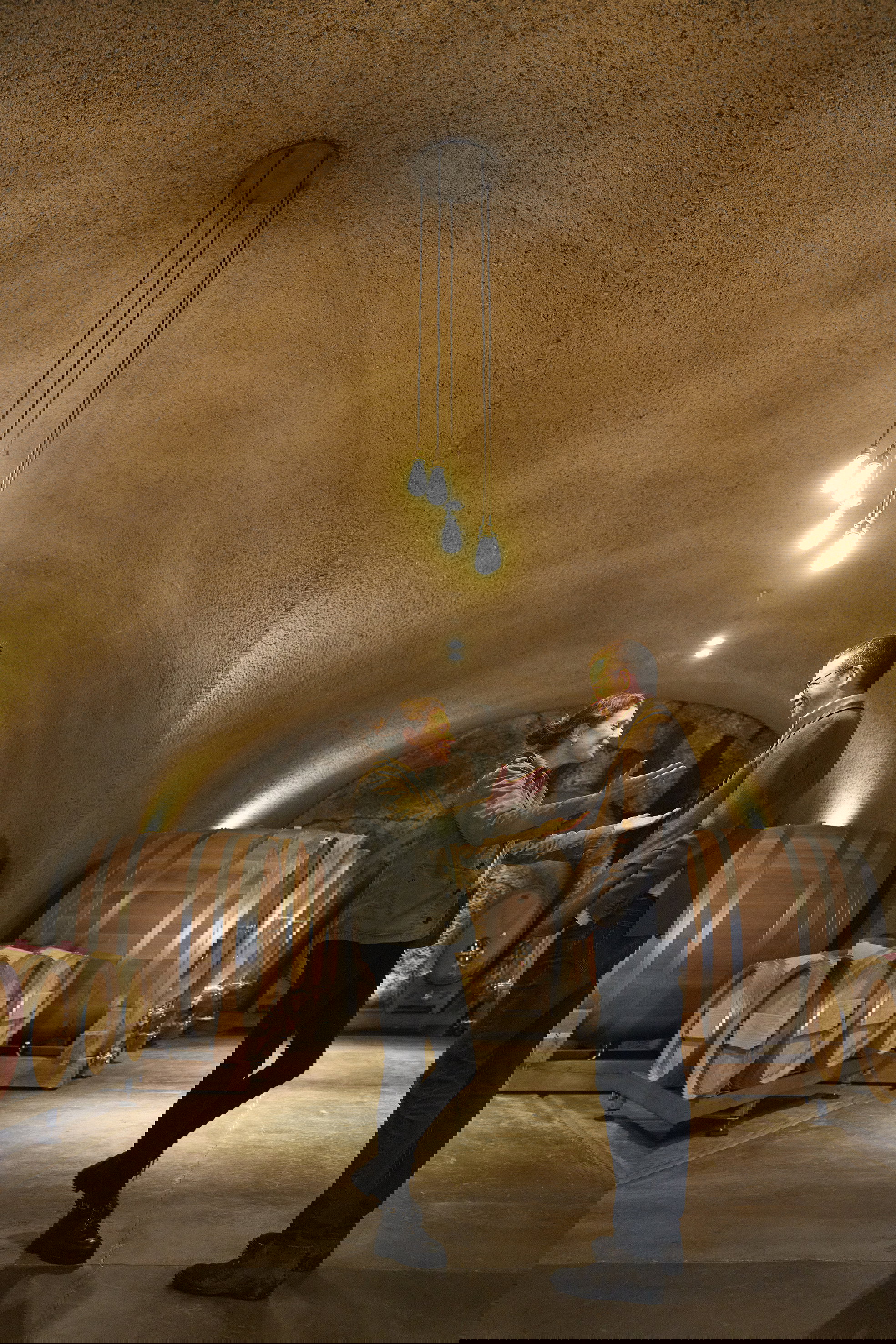 Château-Grillet's New Technical Manager: Aloïs Houeto at 29