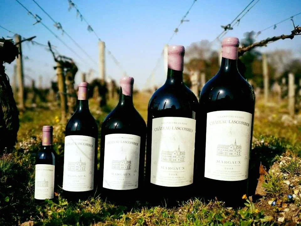 Five Château Lascombes Margaux bottles in ascending sizes, from half-bottle to large format, lined up on grass in front of pruned winter vineyard rows.