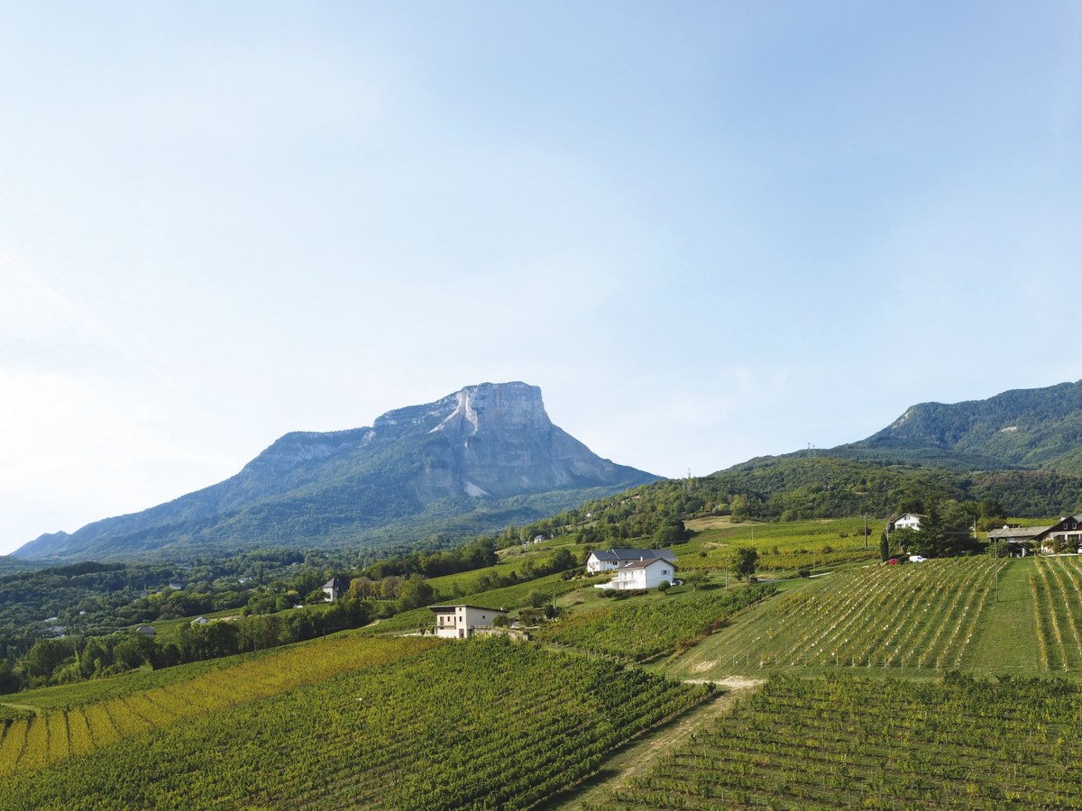 Rolling vineyard hillsides with scattered farmhouses and a distinctive flat-topped mountain in the background.