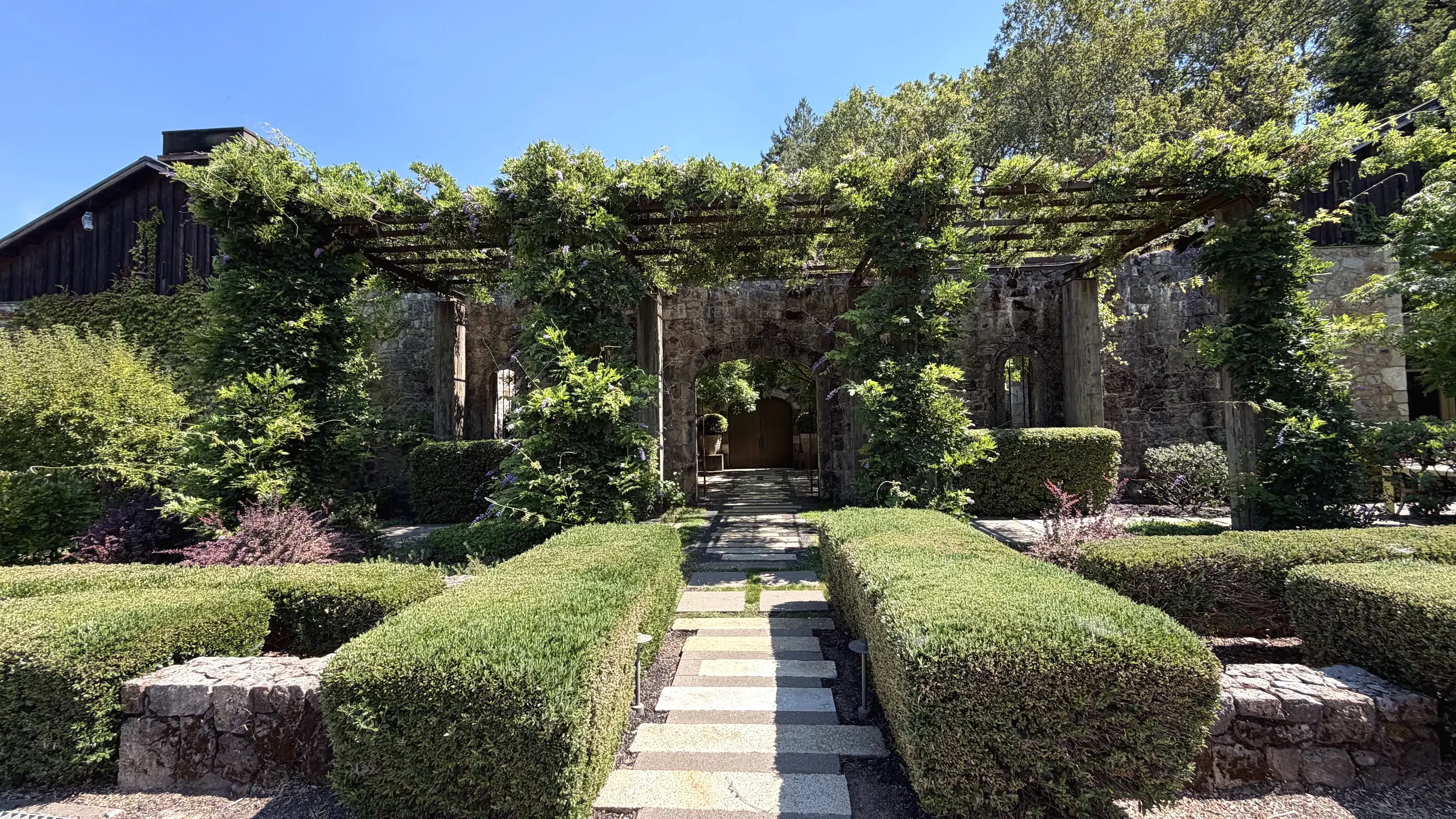 Dana Estates Review: Napa’s Most Elegant Hidden Winery