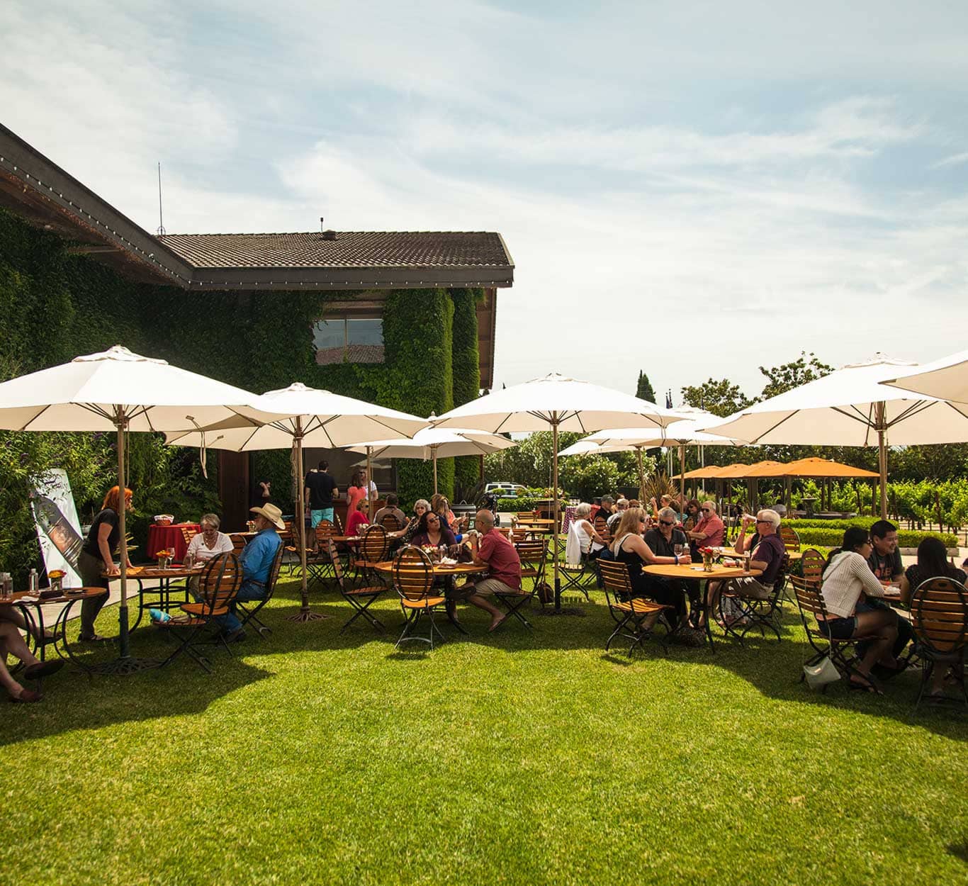 Groups of visitors seated at round wooden tables under white umbrellas on a green lawn beside the ivy-covered building at Clos Du Val Winery in Napa, California, with vineyard rows visible in the background.