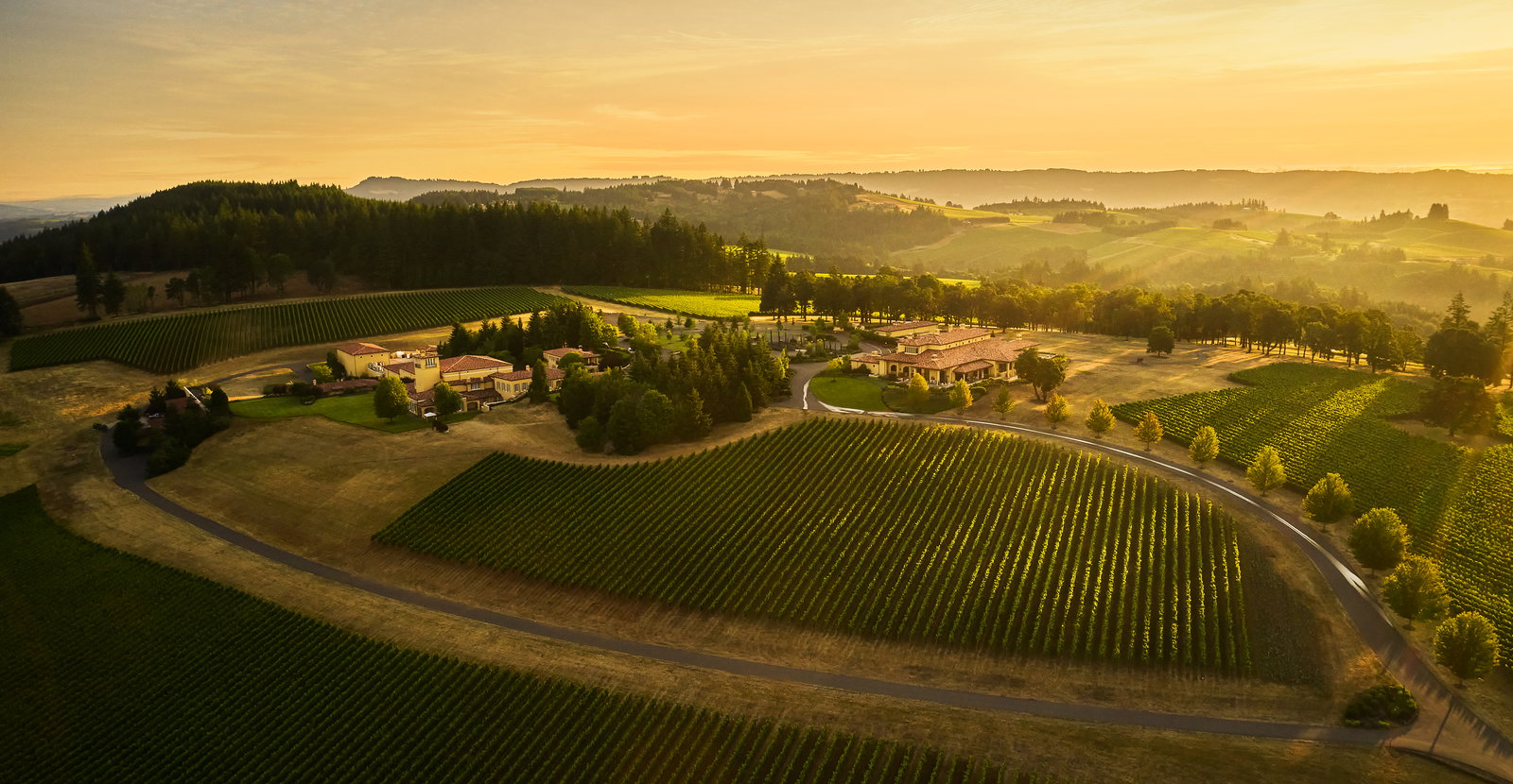 Aerial view of Domaine Serene winery and vineyards in the Dundee Hills, Oregon, bathed in warm golden sunset light.