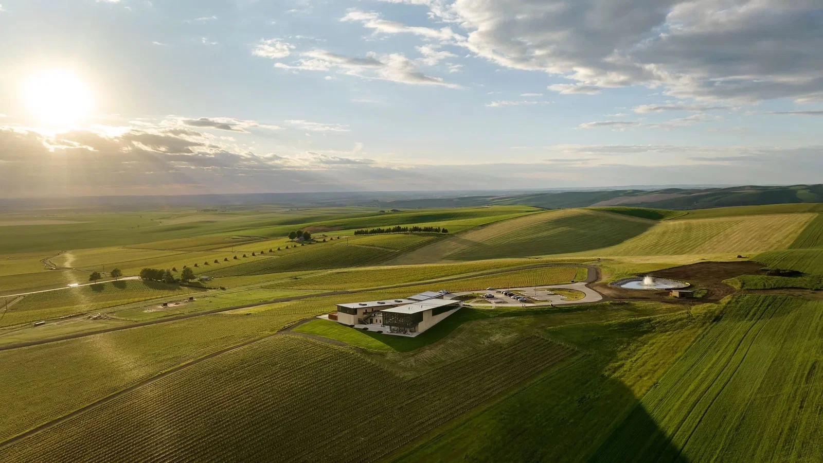 Aerial drone view of Echolands Winery's modern building surrounded by rows of vines on the rolling plains of Walla Walla Valley, Washington, at golden hour.