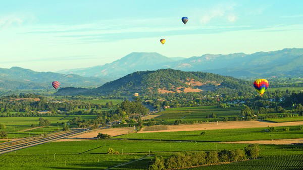 Decanter World Wine Awards 2025: America's Best in Show
