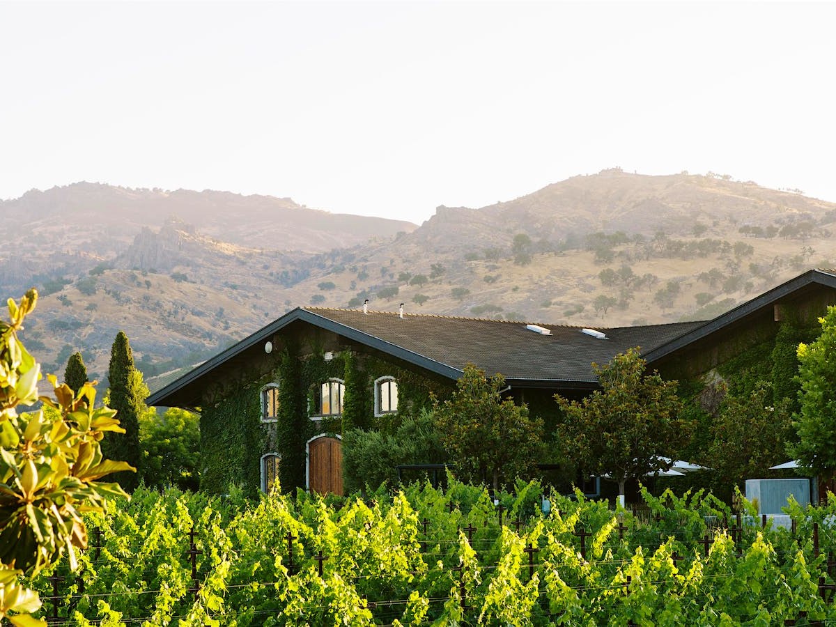 An ivy-covered winery building, surrounded by vibrant green vineyard rows, with hazy mountains in the background under a bright sky.