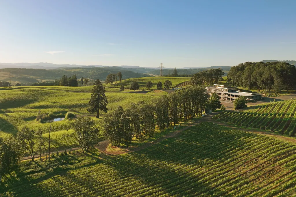 Aerial view of a sprawling vineyard estate with rows of grapevines, tall trees, a contemporary building complex, and mountains in the distance under clear sky.
