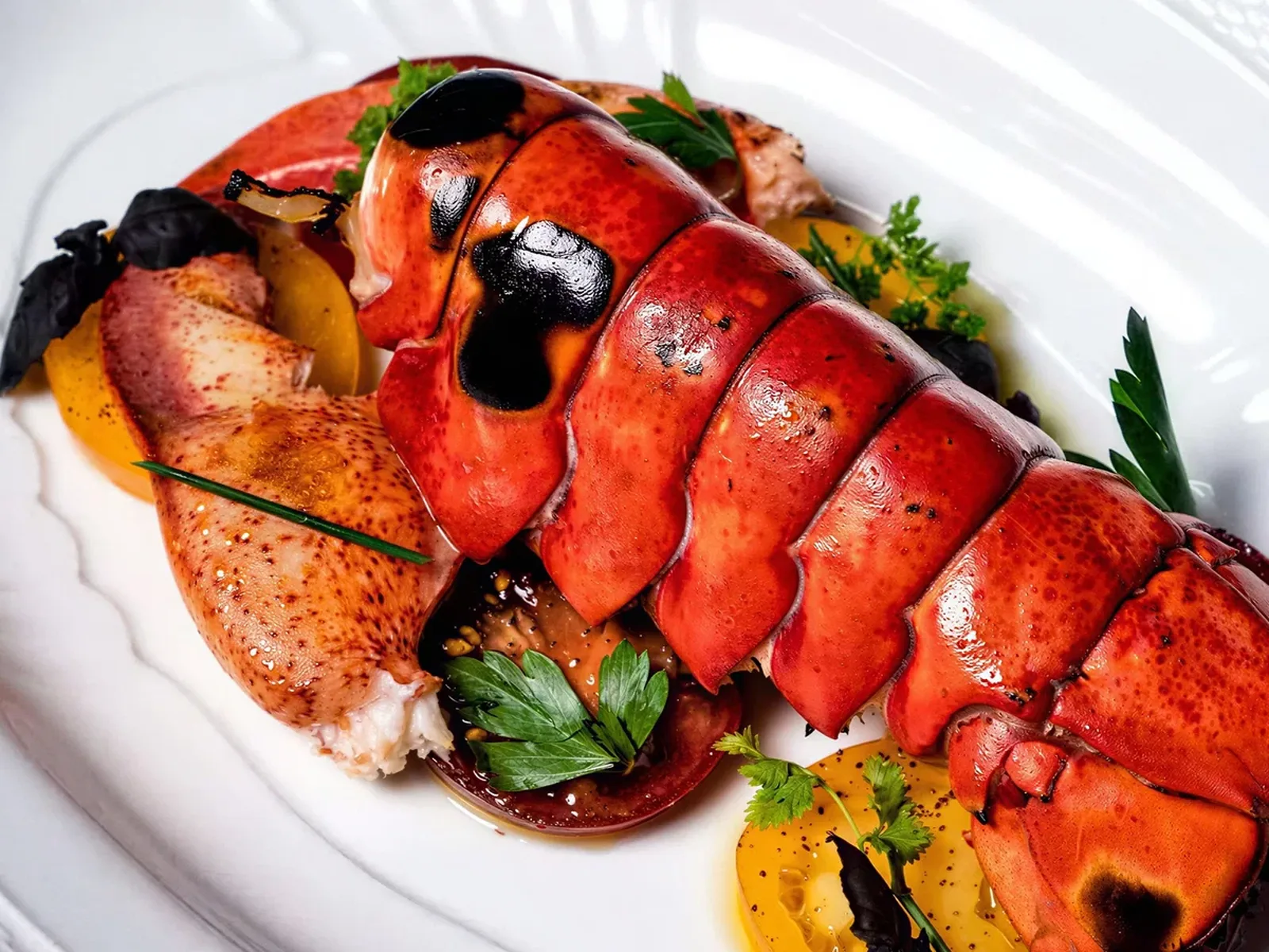 A close-up shot of a vibrant red lobster tail and claw, garnished with fresh herbs and sliced yellow tomatoes, on a white plate.