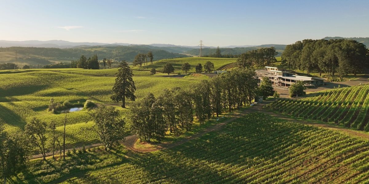 Aerial view of a contemporary winery building surrounded by terraced vineyards, tree-lined pathways, and green agricultural fields in a mountainous valley.