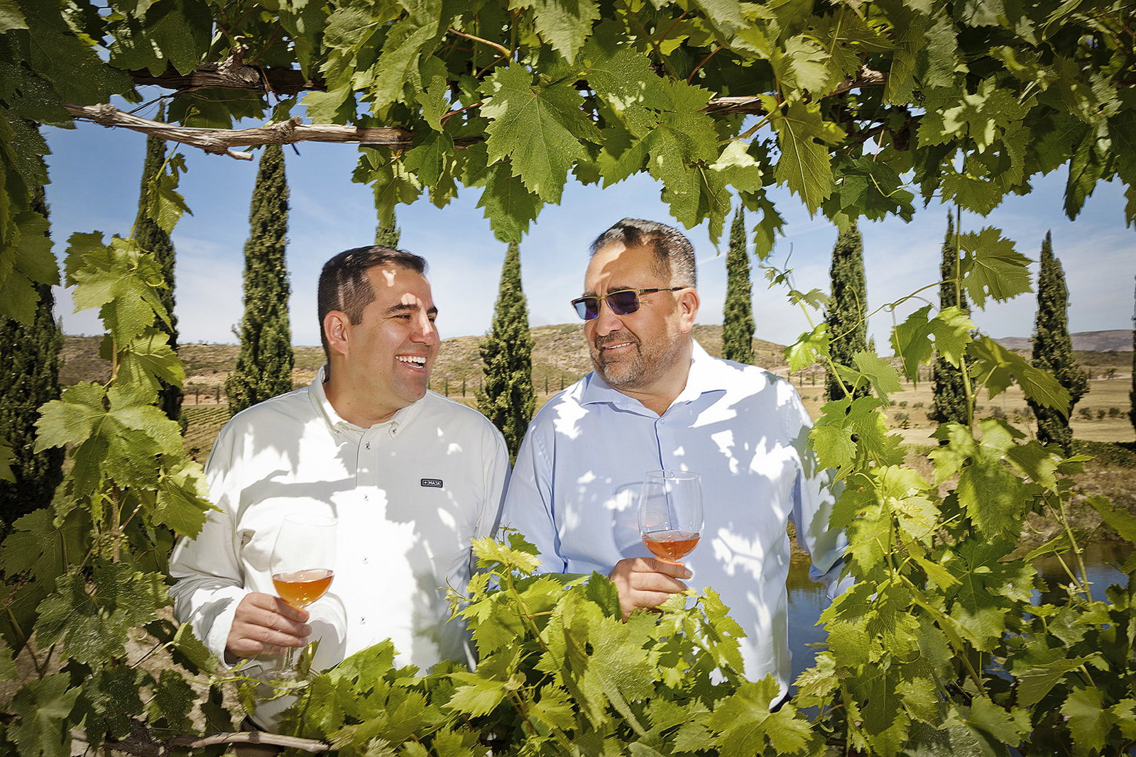 Two men in white shirts holding glasses of rosé wine, laughing together among green grapevine leaves with cypress trees and valley landscape behind them.