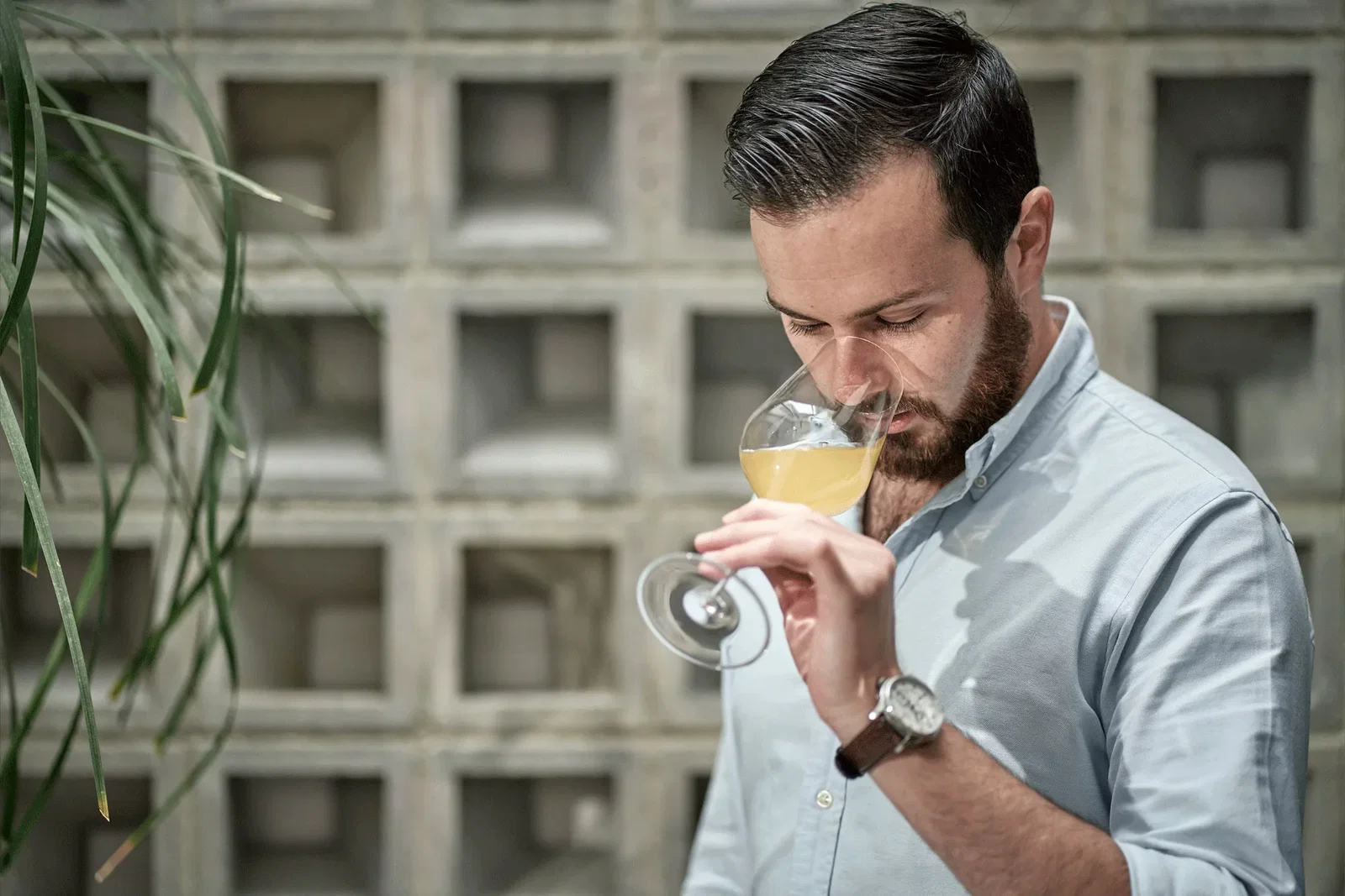 A man with a beard and light blue shirt smells a yellow drink in a wine glass, against a concrete grid wall with a plant.