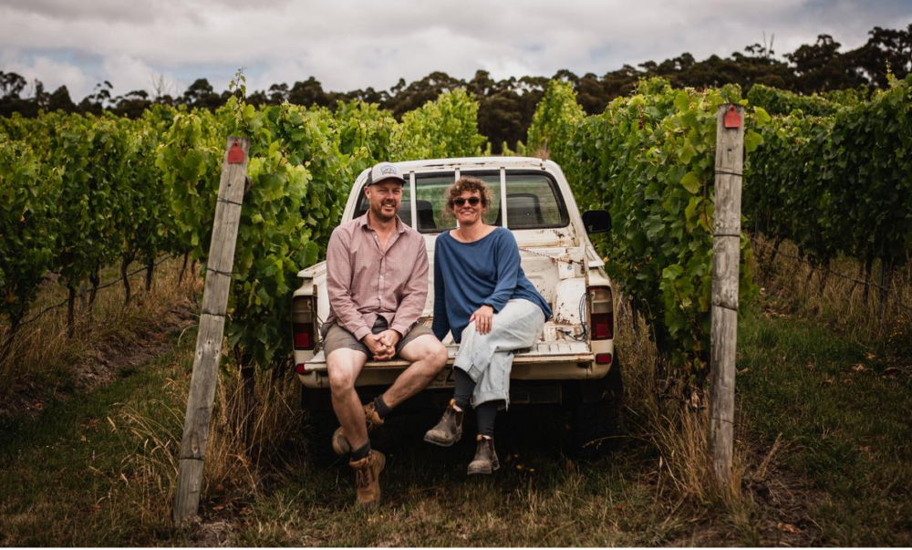 Sailor Seeks Horse: Gilli and Paul Lipscombe in their Huon Valley vineyard.