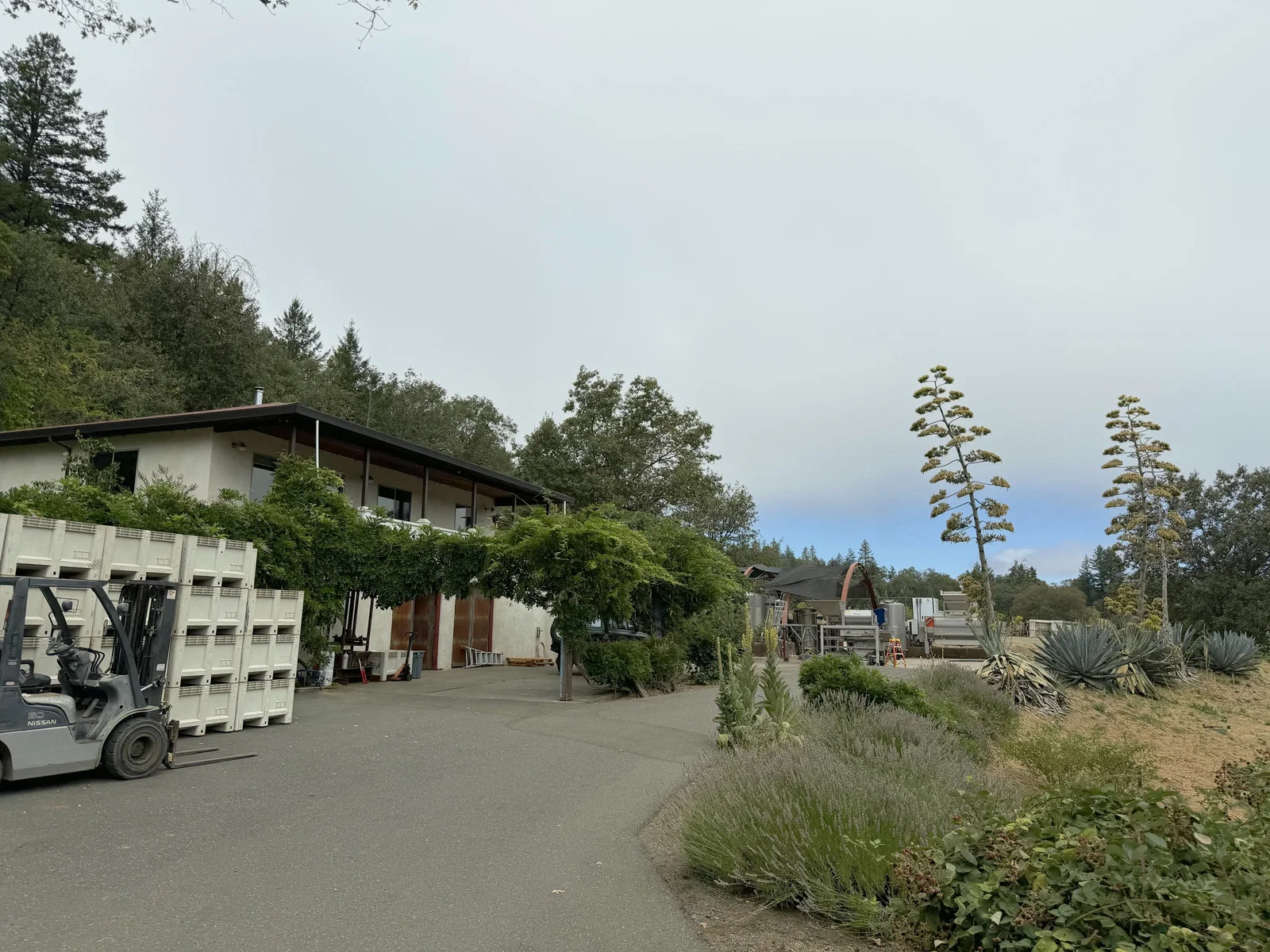 Rustic working Dunn Vineyards winery with harvest bins, equipment and flowering agave