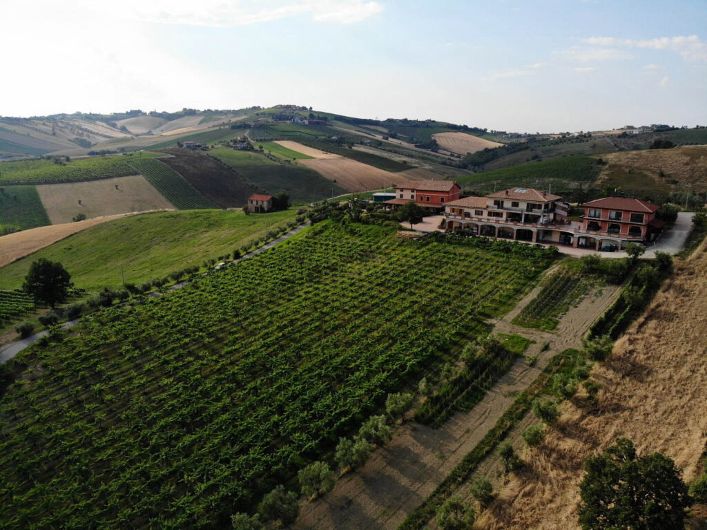 Vineyards and open country surround the Emidio Pepe estate at Torano Nuovo.