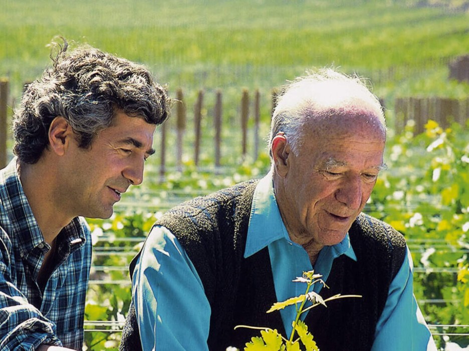 Two men, one younger with dark curly hair and a plaid shirt, and one older with white hair and a blue shirt, examine grapevines in a sunny vineyard.