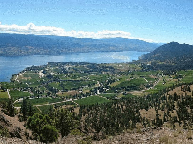 An aerial landscape view of the Summerland Bench, showing vineyards and a small town nestled between forested hillsides and Okanagan Lake.