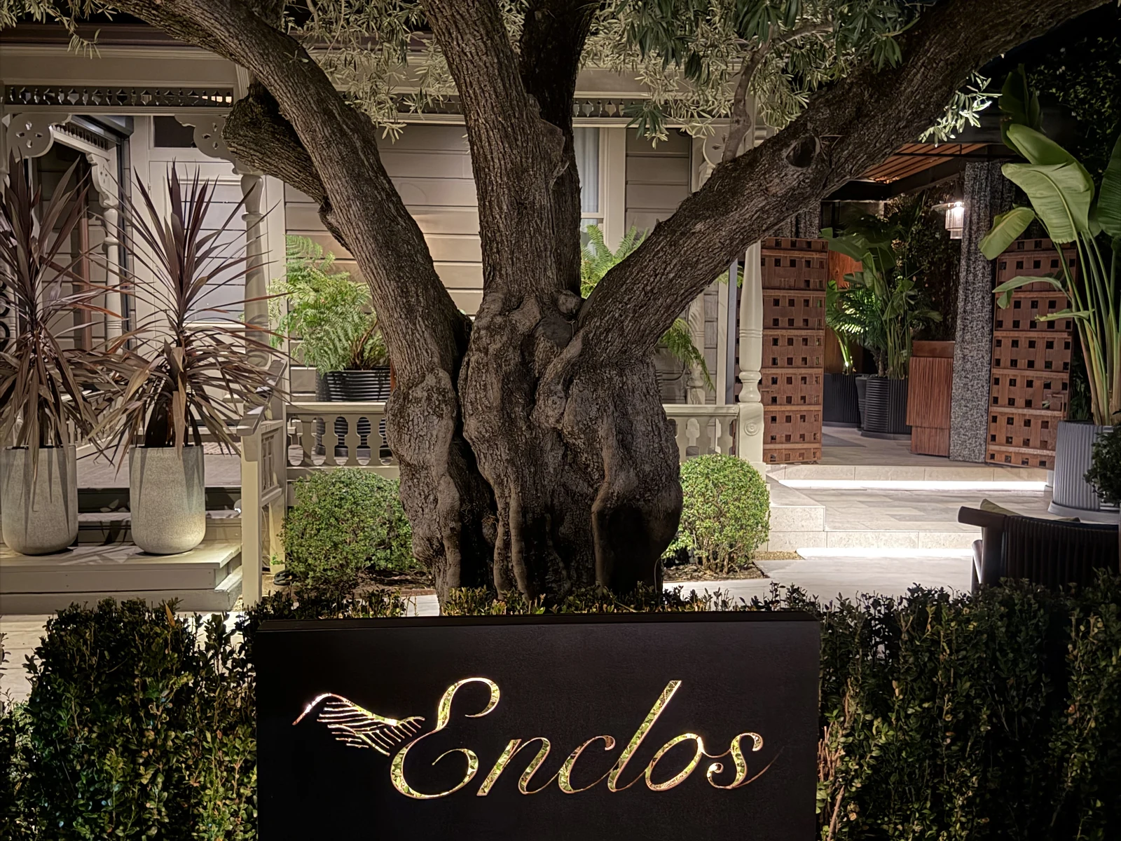 Enclos sign beneath an old olive tree outside the Sonoma restaurant at night