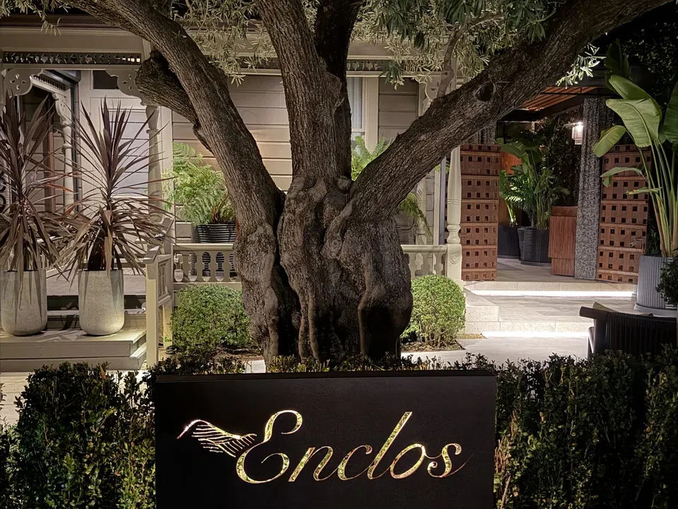 Enclos sign beneath an old olive tree outside the Sonoma restaurant at night