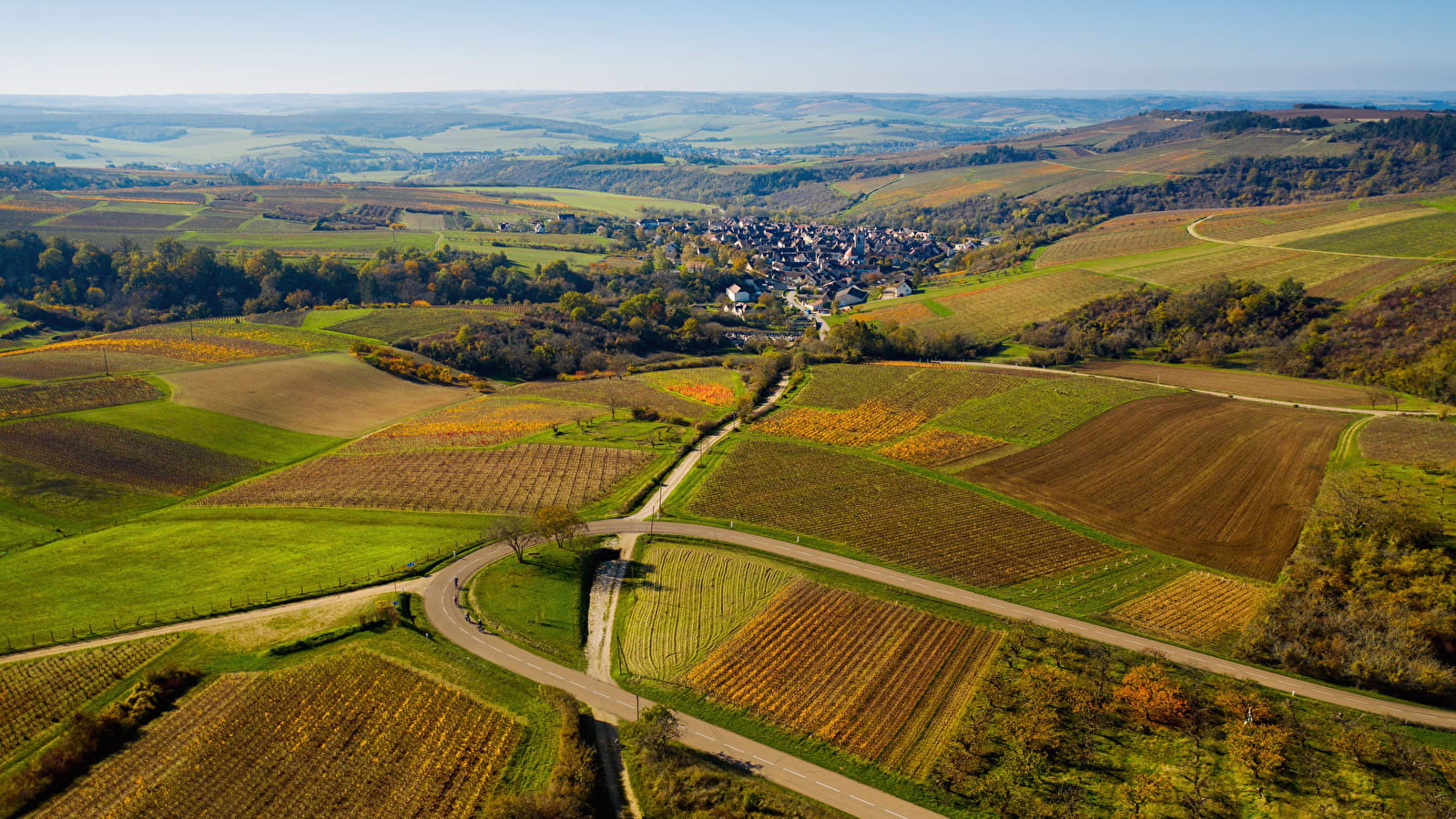 Aerial view of the Côte d'Or vineyards in Burgundy
