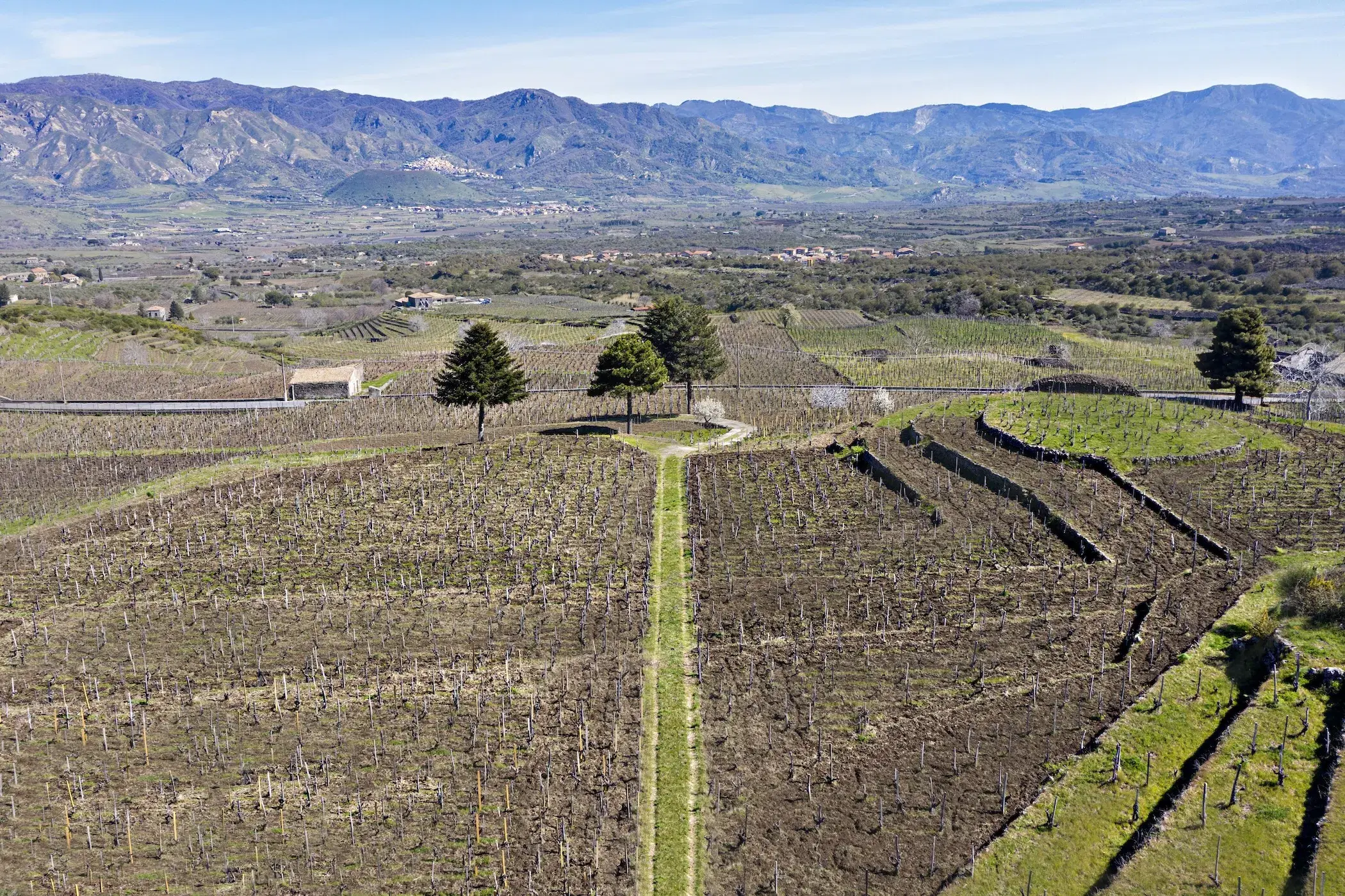 Etna and Marsala Wines Rewrite Sicily’s Bulk-Wine Past