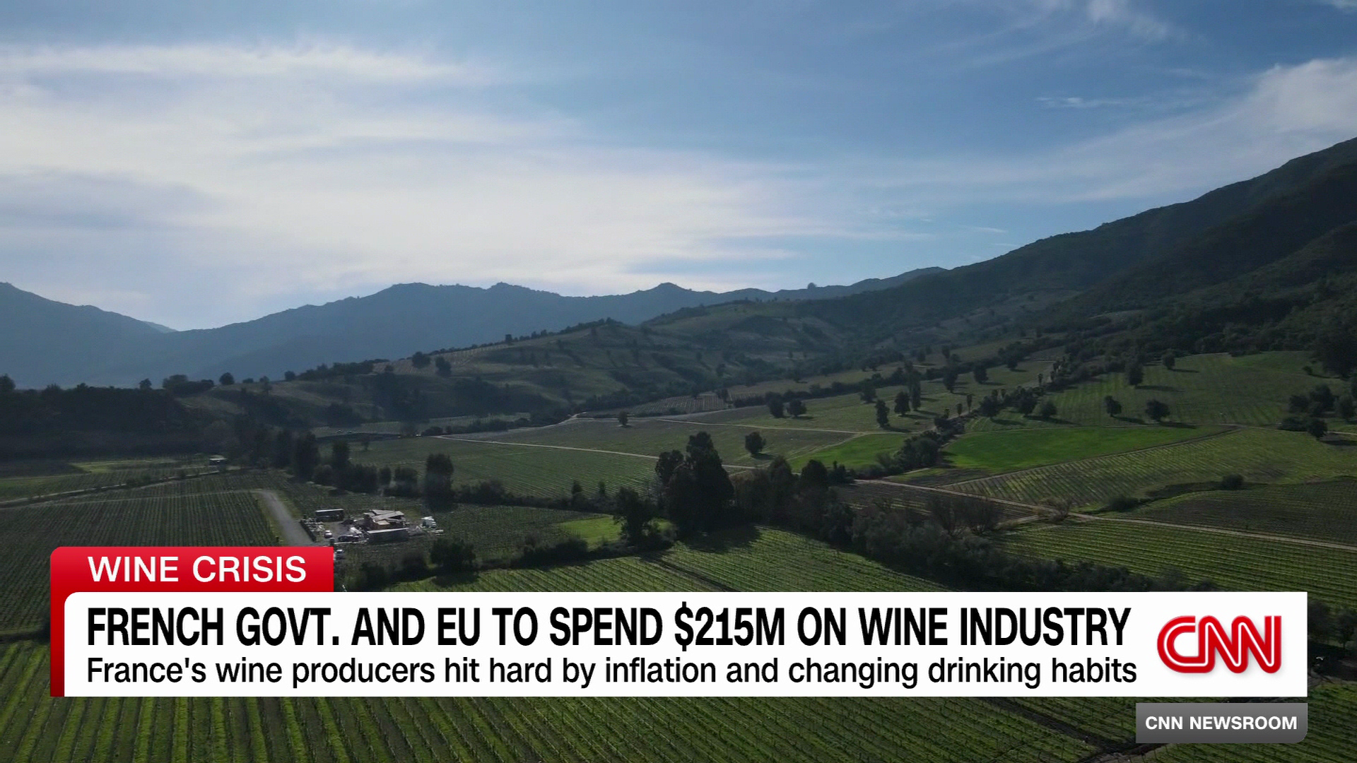 European Wine Crisis: Arsenio Wines’ Climate Playbook