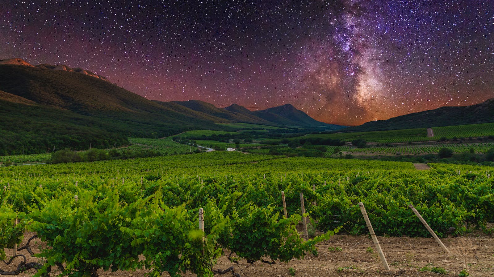 A vineyard landscape at night under the Milky Way, showing rows of grapevines in a valley with mountains in the background.