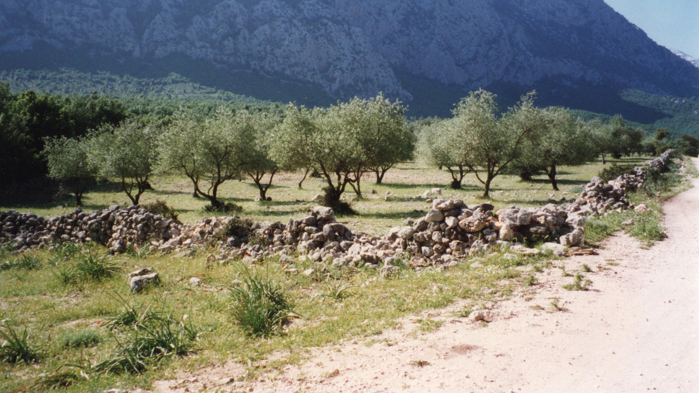 Filu 'e Ferru Sardinia: The Iron Wire Spirit Born from Prohibition