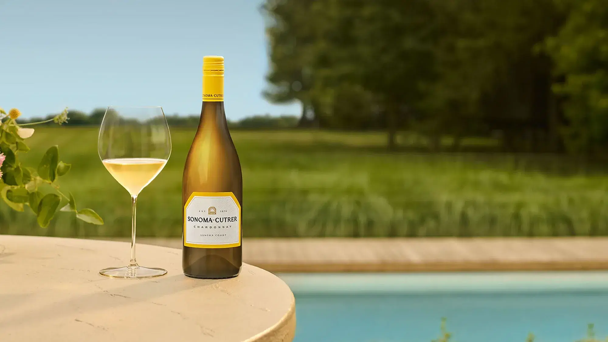 Fine White Wine Trading Up 650%: What Collectors Need to Know