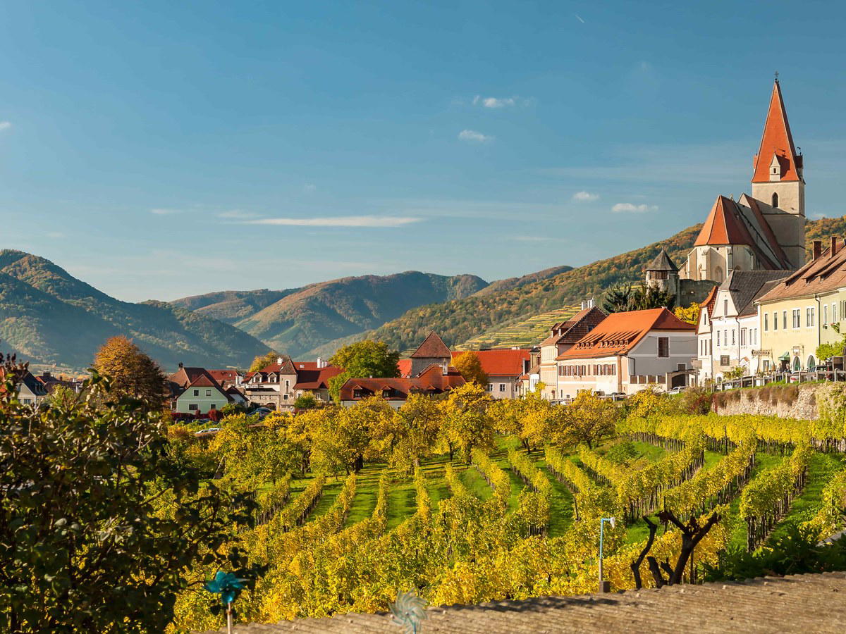 Fine Wines from Austria: An Embassy Tasting That Changes the Conversation