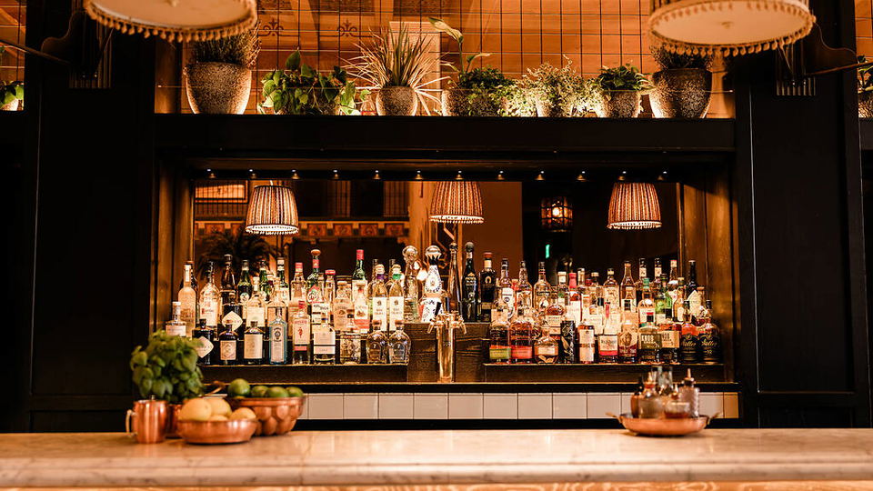 A well-lit bar interior with numerous bottles of spirits arranged on shelves, wooden counter in foreground, hanging pendant lights, and potted plants on the upper level.