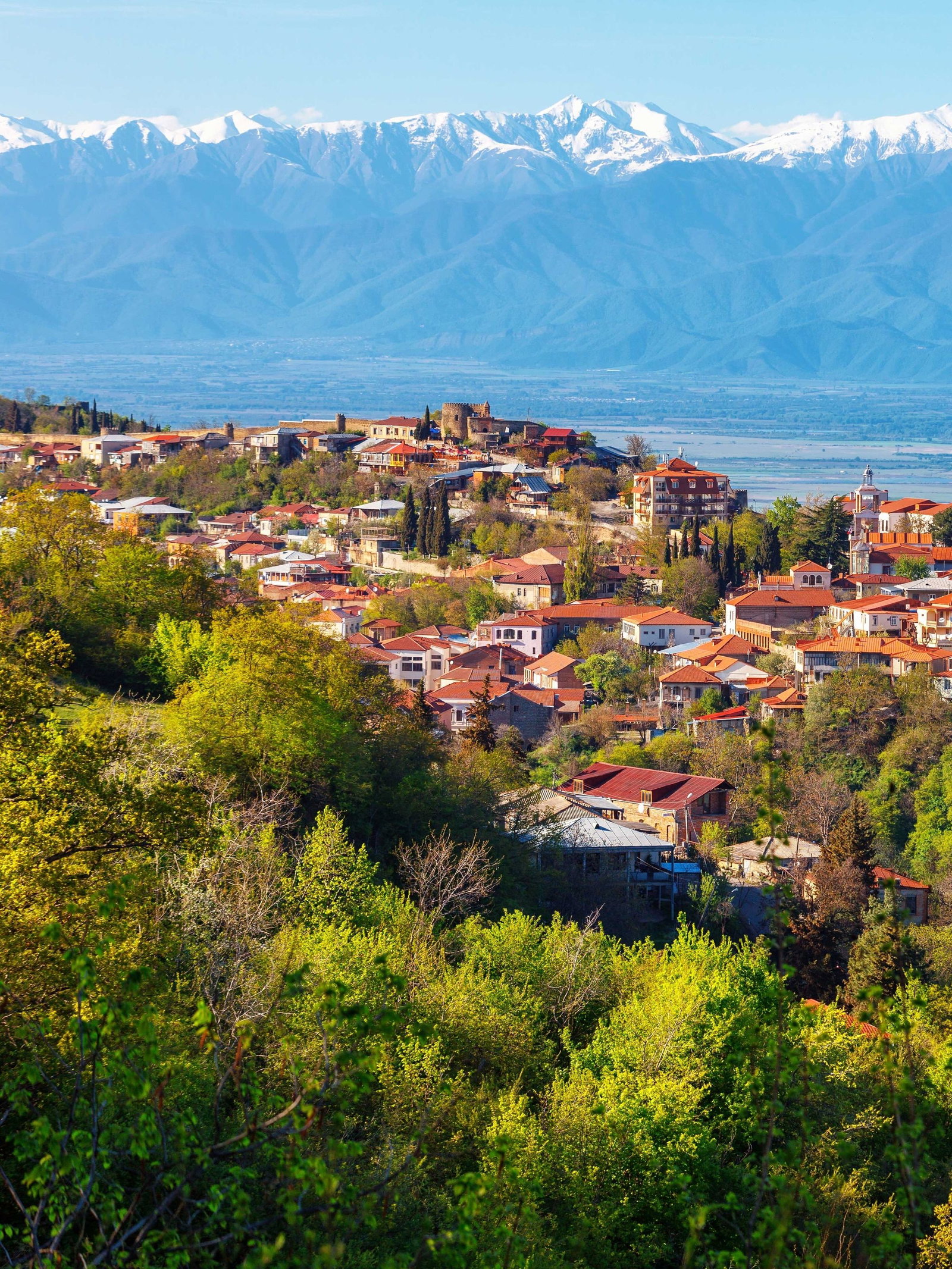 A panoramic view of a town with red-roofed buildings nestled on a hillside, surrounded by green trees, with a vast valley and snow-capped mountains