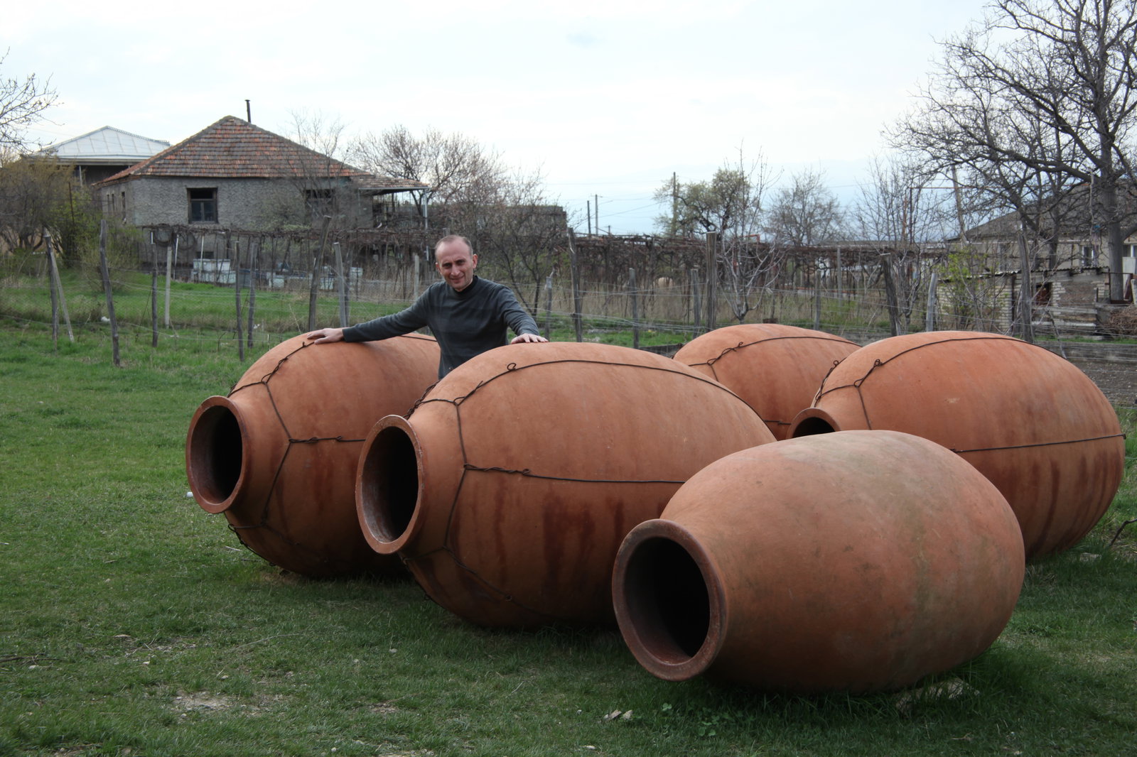 A man stands among several large, terracotta qvevri, traditional Georgian wine-making vessels, in a grassy field with houses in the background.