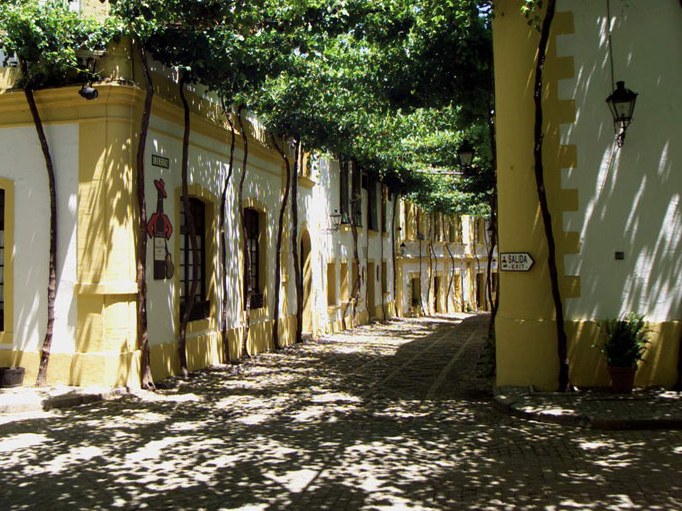 Tío Pepe bodegas: Sunlit alleyways with canopies of gnarled trees lead to centuries of winemaking history.
