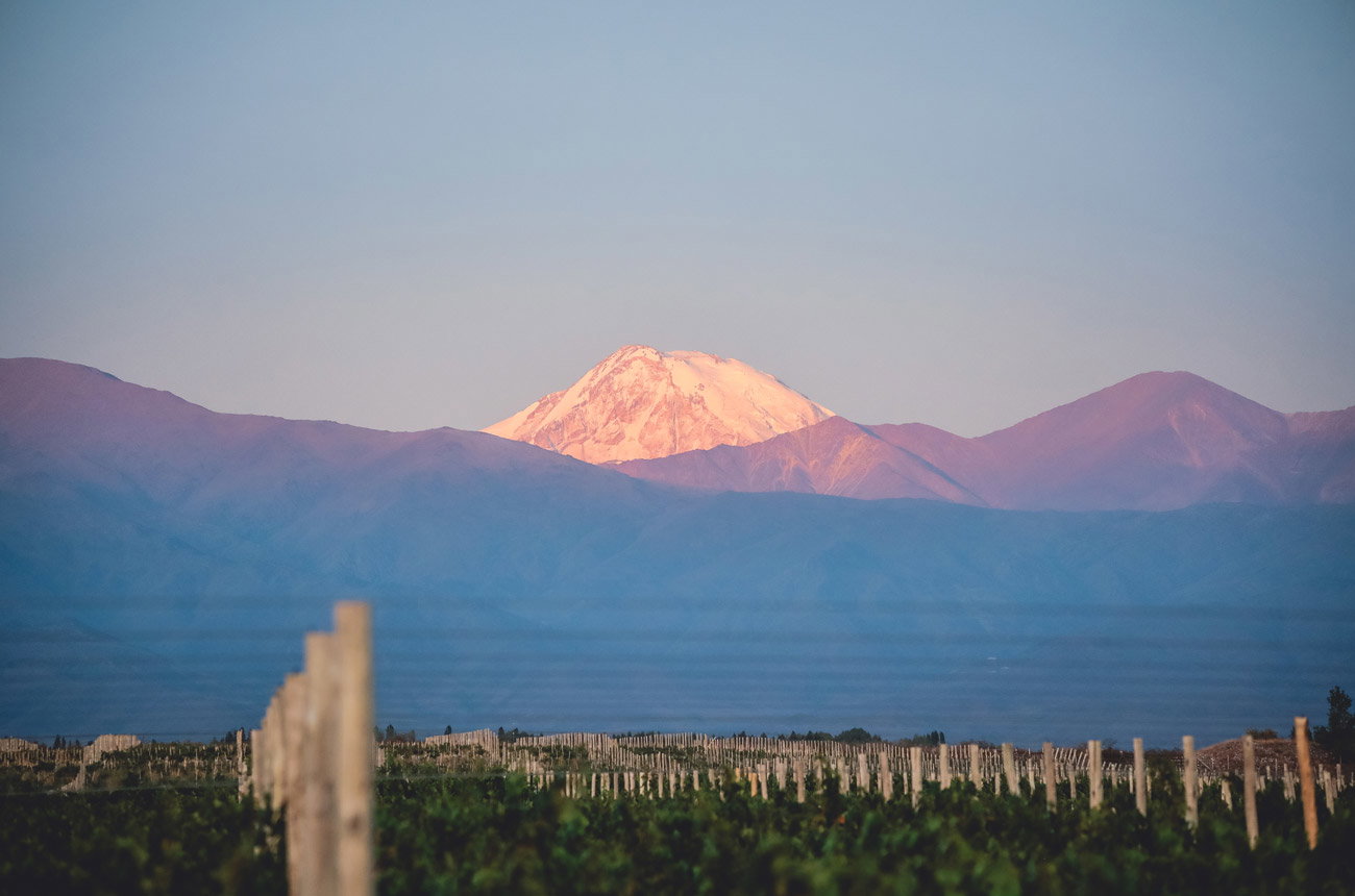 Rutini Wines: Gualtallary vineyards with the Andes at sunset, highlighting the Uco Valley's high-altitude terroir.