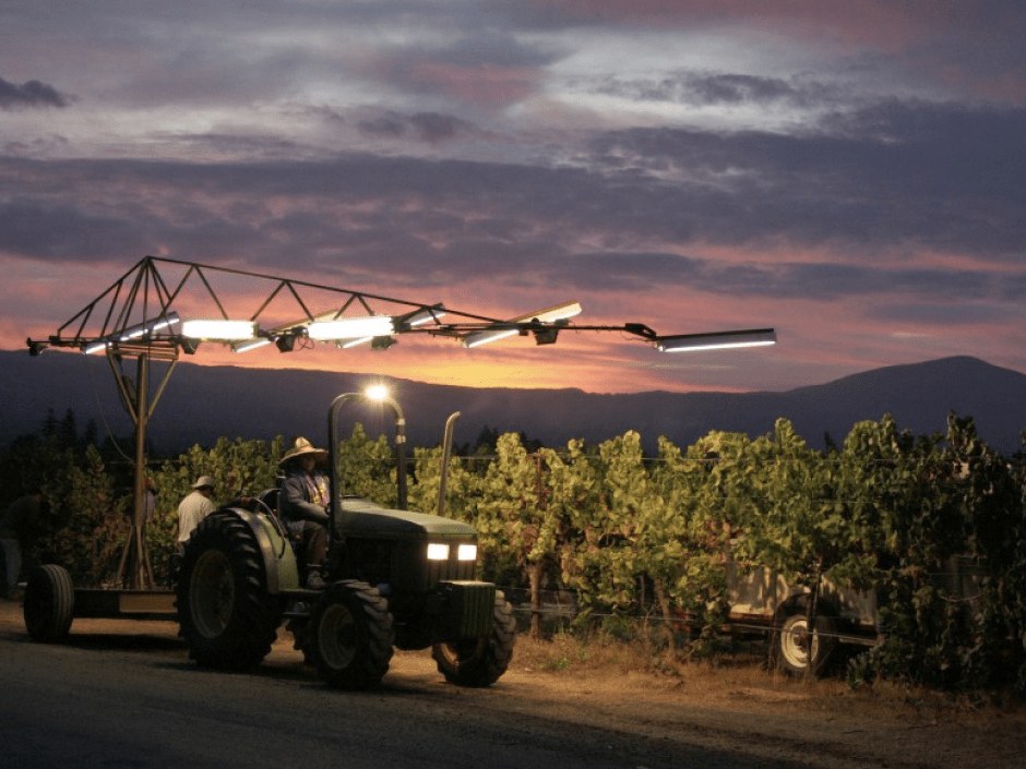 Trefethen Family Vineyards' sustainable farming practices include night harvesting with specialized lighting rigs.