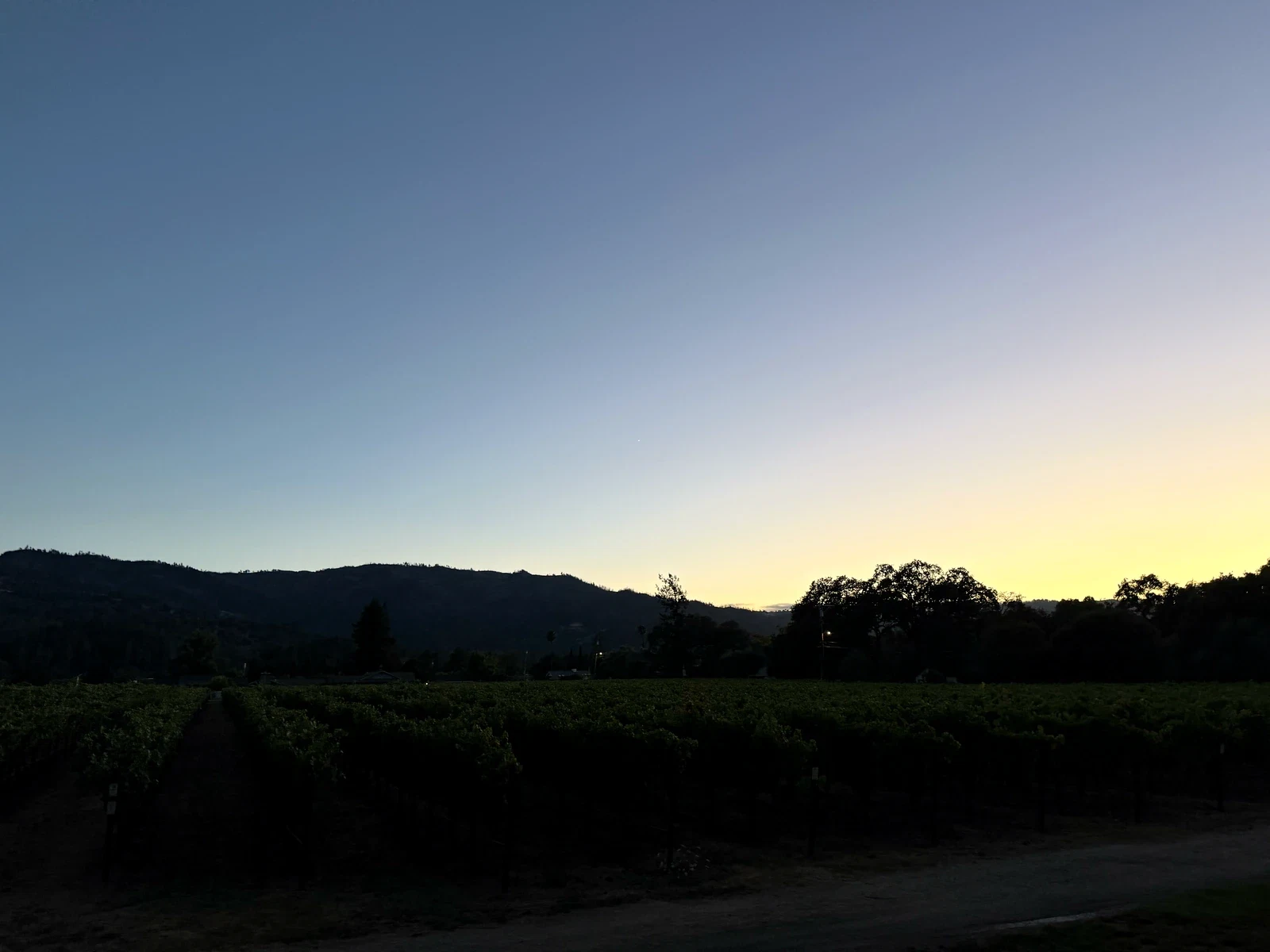 Sunset behind Leonardini Vineyard and the Mayacamas Mountains from Harvest Inn