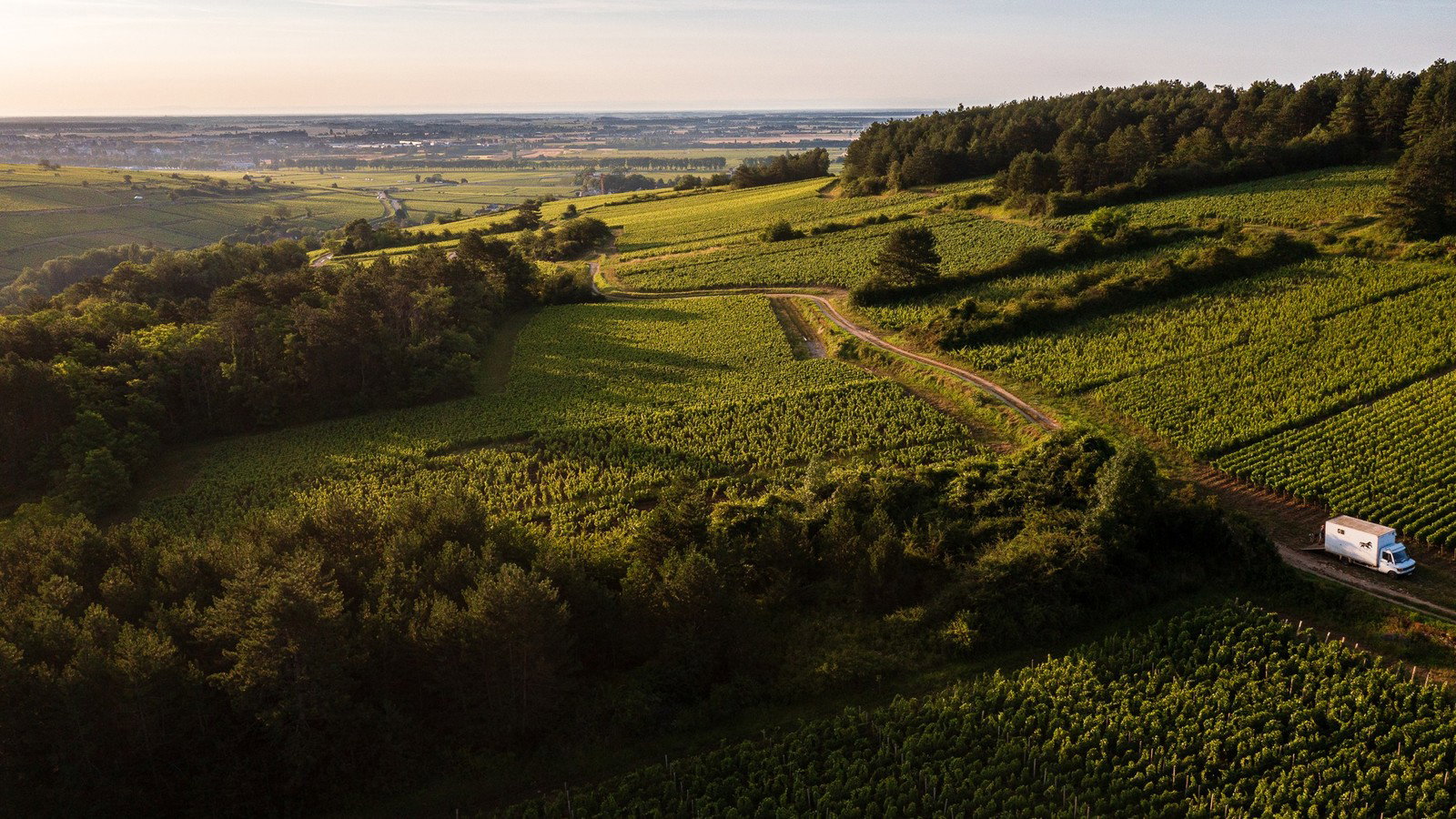 Hautes-Côtes Burgundy: The Value Frontier Collectors Should Know Now.