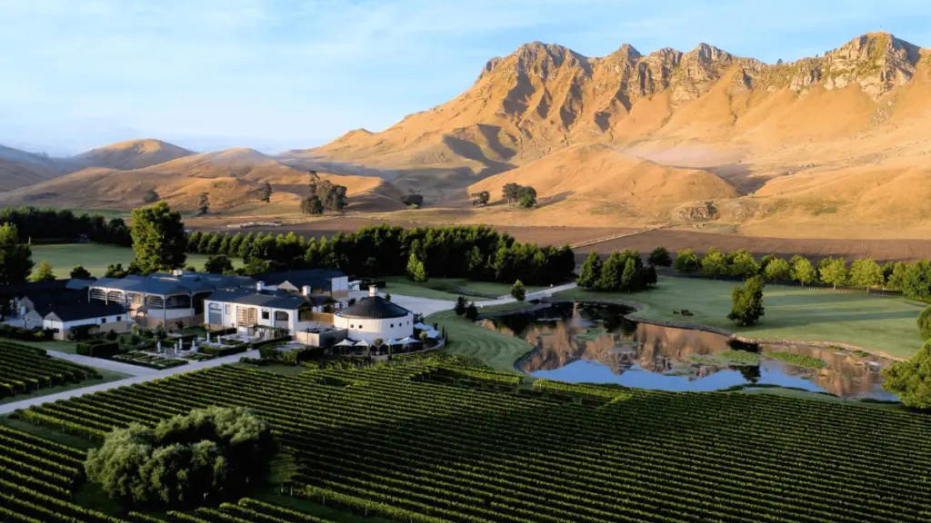 Hawke's Bay Chardonnay 2024: The Vintage That Changes Everything