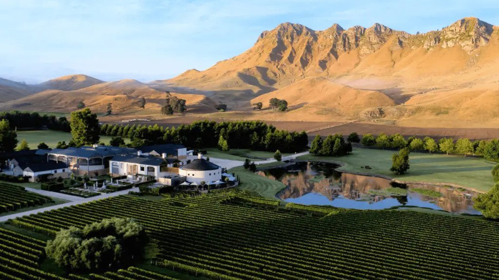 Hawke's Bay Chardonnay 2024: The Vintage That Changes Everything