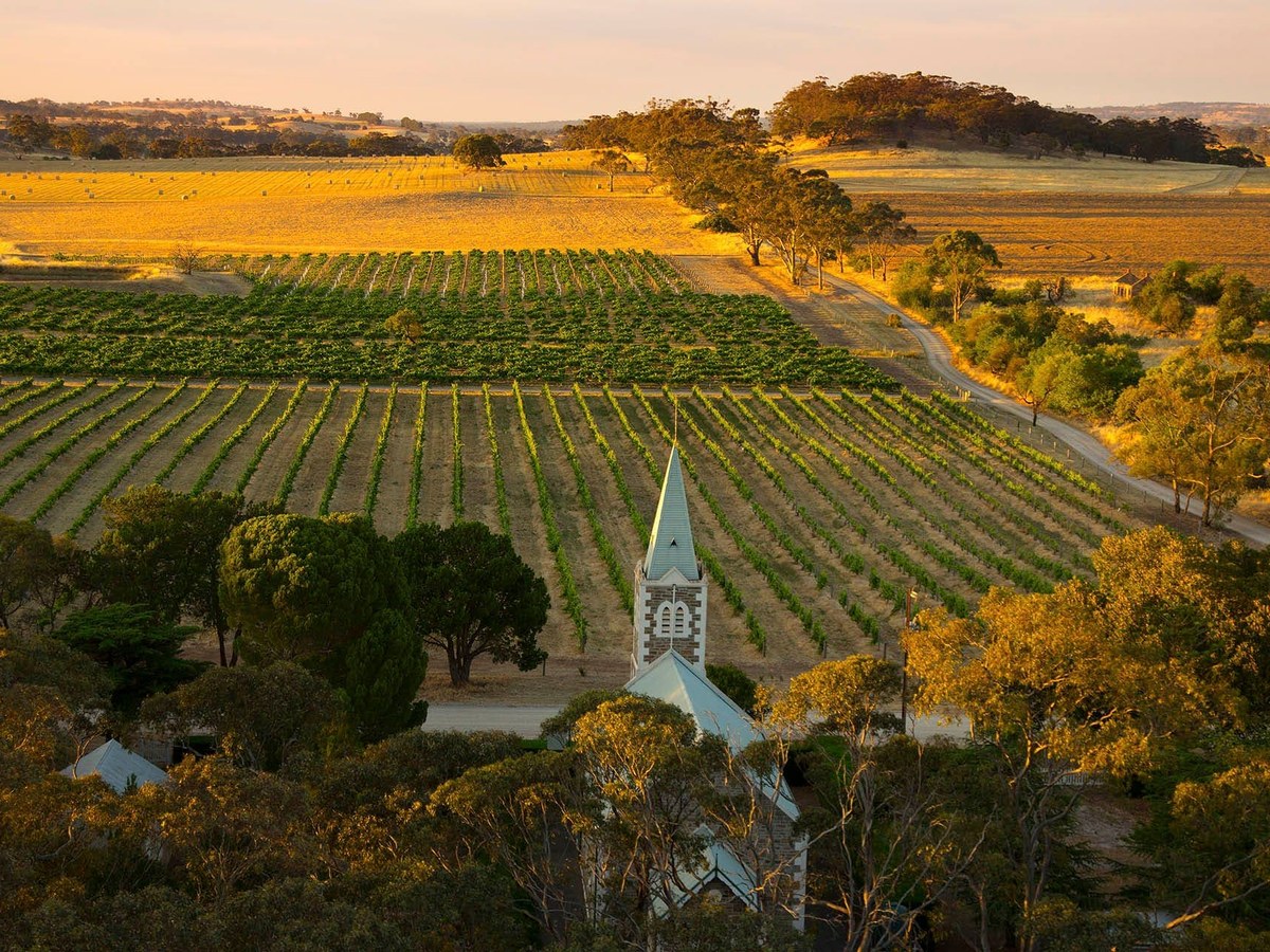 The Gnadenberg Church vineyard block at Henschke Hill of Grace, requiring forward planning for an appointment.