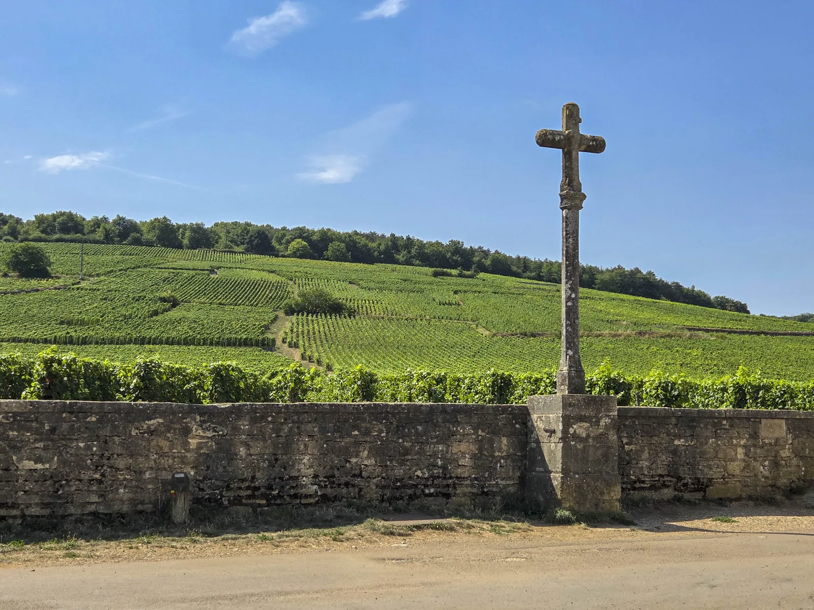 Vineyards in Burgundy