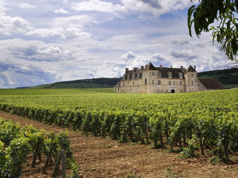 Exterior view of Château du Clos de Vougeot, a large stone building with multiple turrets and dormer windows, surrounded by rows of vibrant green